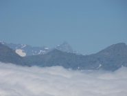 Cervino