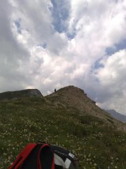 arrivo al soleglio bue