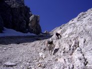 Canale verso Forcella 11