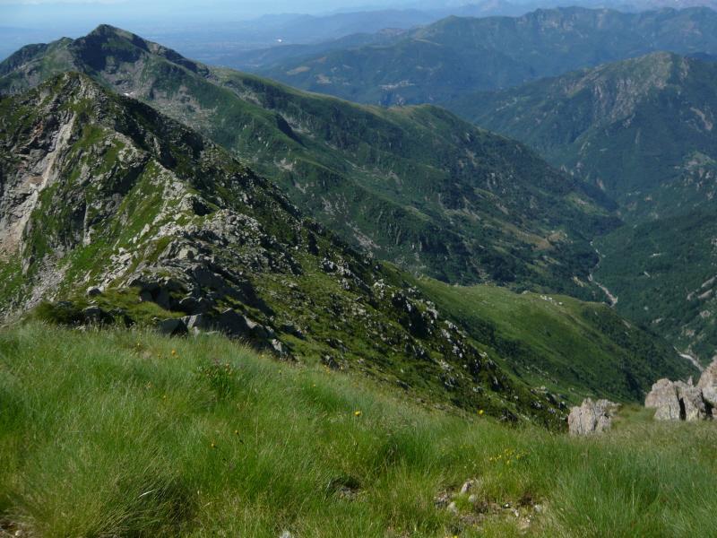 p. rama dalla cima di pal