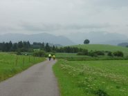 Ancora verde
