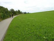Verdi colline