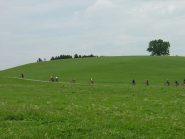 Pedalando nel verde