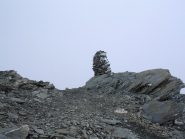 Ometto con galaverna