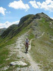 splendido single trek