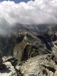 il bric camoscere