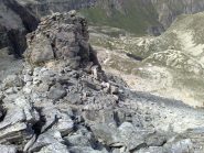 sul bric camoscere