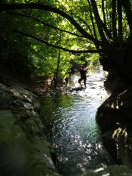  Roby salta dall'albero