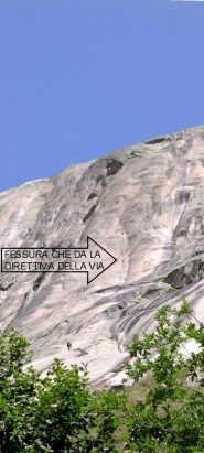 direttiva...