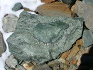 zona ricca di minerali