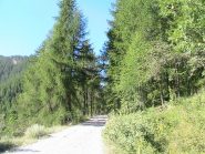 Salendo verso il Lago Nero