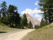 Lo Chaberton da Sagna Longa