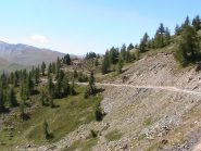 Quasi al Colle Saurel