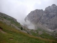 Forc. Venegiota