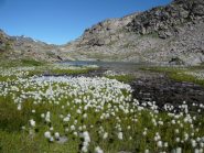 uno dei laghi della comba