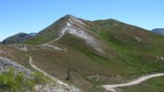 Pitre de l'Aigle