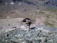 Dario in discesa dalla cima
