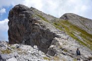 la cresta del conoia