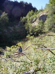 un'ora nella giugla cuneese