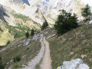 Bel tratto di sentiero