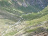 il Bezzi