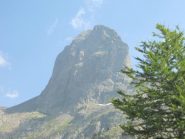 Cayre de la Cougourde