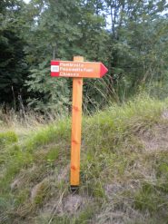 cartello sentiero 335