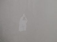 doppia nella nebbia