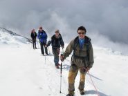 Cordata Mauro