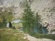 altri laghetti 
