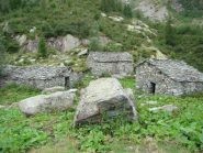alpeggio quota 1600m