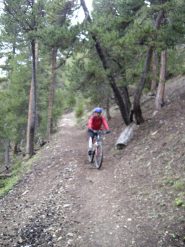 Discesa verso Chalets des Hayes