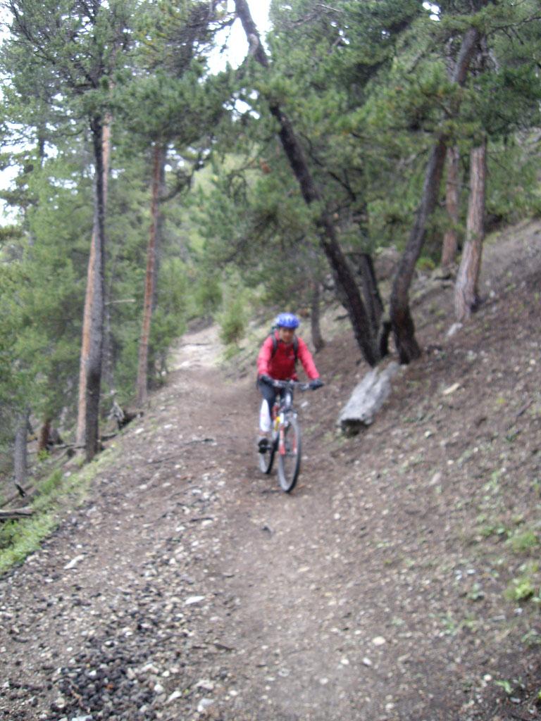 Discesa verso Chalets des Hayes