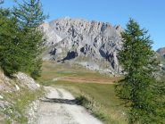 Monte Cassorso