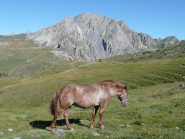 Monte Cassorso