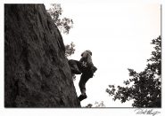 Nasti Put 4c, settore 16