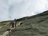 FRANCO ALLA RICERCA DELLE PROTEZIONI