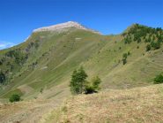 Il Pietralunga visto salendo