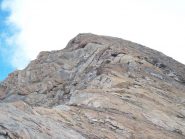 parte terminale della cresta