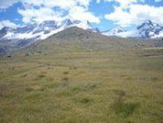 Pian Borgno