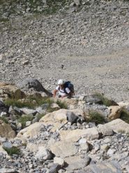 All'attacco del cengione