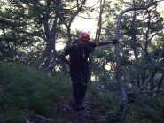 Un pò di riposo ma .....