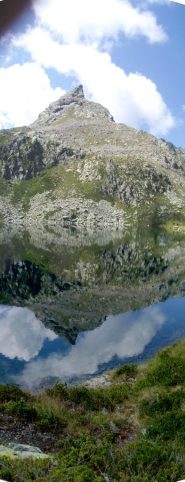 bec laris che si specchia nel lago vercoche