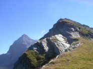 Il Monte Acquanera e sullo sfondo il Pizzo Scalino