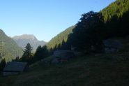 Alpe Pisardo