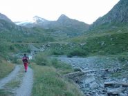 Verso la passerella dell'Ile