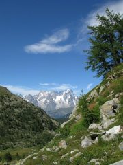 Les Grandes Jorasses scendendo al lago d'Arpy
