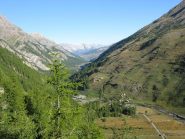 la splendida Valle Argentera