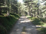 verso Tenou