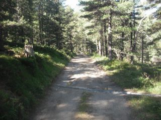 verso Tenou